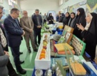 برگزاری نمایشگاه «روز درهای باز» خانواده تات گلستان در مرکز تحقیقات و آموزش گلستان