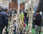 برگزاری نمایشگاه «روز درهای باز» خانواده تات گلستان در مرکز تحقیقات و آموزش گلستان