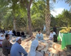 برگزاری روز مزرعه