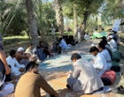 برگزاری روز مزرعه