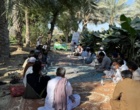 برگزاری روز مزرعه