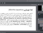 برگزاری دوره آموزشی ملی «کشت و پرورش سبزیجات برگی (ریحان، نعناع و شاهی)» به‌صورت غیرحضوری