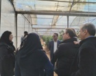 برگزاری کارگاه آموزشی مدیریت گلخانه‌های جالیزی درشهرستان سیرجان استان کرمان