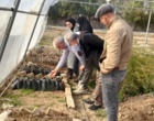 گامی در راستای توسعه تحقیقات کاربردی گیاهان دارویی