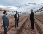 برگزاری کارگاه آموزشی ترویجی مدیریت گلخانه‌های جالیزی در بخش راین شهرستان کرمان