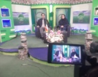 برنامه آموزشی مجازی «تغذیه دام پرواری» برای دامداران و کارشناسان کرمانشاه برگزار شد