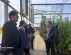برگزاری کارگاه آموزشی اقدامات زمستانه گلخانه‌ها در شهرستان رفسنجان
