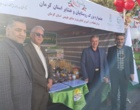 برگزاری جشنواره بزرگ روستاییان و عشایر استان کرمان