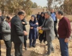 برگزاری دوره تخصصی هالوفیت‌ها و گیاهان شورزی