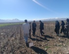 از چال‌کود تا پیشگیری از یخبندان؛ آموزش‌های کاربردی برای باغداران شهرستان سلسله