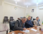 هم‌افزایی برای خودکفایی بذری؛ نشست هماهنگی تولید بذر نخود در استان برگزار شد
