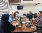 هم‌افزایی برای خودکفایی بذری؛ نشست هماهنگی تولید بذر نخود در استان برگزار شد