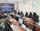 تأکید بر انتقال دانش کاربردی به مزارع استان سمنان
