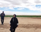 رئیس مرکز از فعالیت های ایستگاه های تحقیقاتی و تولیدی مرکز بازدید کرد