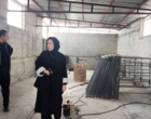 رئیس مرکز از فعالیت های ایستگاه های تحقیقاتی و تولیدی مرکز بازدید کرد