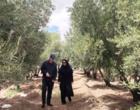 رئیس مرکز از فعالیت های ایستگاه های تحقیقاتی و تولیدی مرکز بازدید کرد