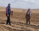 کلکسیون انارهای ایرانی