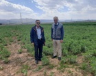 بازبینی تخصصی مزارع بذری در لرستان؛ آغاز فصل تصمیم‌های علمی و عملیاتی