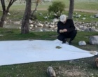 فاز دوم طرح پایش آفات و بیماری‌های مهم جنگلی و مرتعی زاگرس کلید خورد