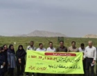 برگزاری روز مزرعه دو پروژه در منطقه ارزوئیه استان کرمان