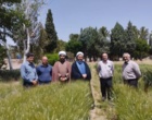 بازدید راهبردی مسئول حوزه نمایندگی ولی فقیه در سازمان تحقیقات،آموزش و ترویج کشاورزی از ظرفیت‌های پژوهشی ایستگاه تحقیقاتی شهید زنده‌روح کرمان