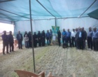 روز مزرعه خصیل جو