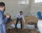 پسماندهای کشاورزی؛ از کنجاله زیتون تا تفاله پرتقال، جایگزینی راهبردی برای نهاده‌های وارداتی