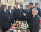 ابریشم، گنج پنهان گیلان؛ سرمایه‌گذاران آمدند، آینده روشن شد!