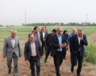 پیش‌بینی تولید ۱۴ میلیون تن گندم در کشور / تأمین امنیت غذایی بدون نگرانی