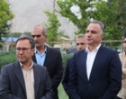 پیش‌بینی تولید ۱۴ میلیون تن گندم در کشور / تأمین امنیت غذایی بدون نگرانی