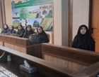 برگزاری وبینار آموزشی «کاشت، داشت و برداشت سورگوم» برای همکاران مرکز تحقیقات کرمانشاه