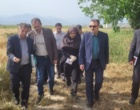تحول در تولید هسته‌های بذری کشور/ بازدید رئیس مؤسسه تحقیقات دیم کشور از ایستگاه ملی تحقیقات کشاورزی گنبدکاووس