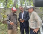 باغداران چهارباغ، دانش خود را با حضور اساتید برجسته در کارگاه مدیریت آفات و بیماری‌ها به‌روز کردند