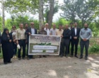 باغداران چهارباغ، دانش خود را با حضور اساتید برجسته در کارگاه مدیریت آفات و بیماری‌ها به‌روز کردند