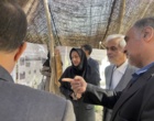 بازدید رئیس مؤسسه تحقیقات جنگل‌ها و مراتع کشور از غرفه تخصصی مرکز تحقیقات و آموزش کشاورزی و منابع طبیعی استان سمنان