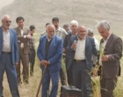 برگزاری دوره آموزش عملی کارشناسان و بهره‌برداران شهرستان خرم‌آباد