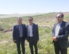 برداشت موفق کشت آبی موسیر در روستای چنارحمام خرم‌آباد
