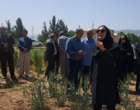 «روز مزرعه و انتقال یافته‌های تحقیقاتی» در لرستان؛ پیوند علم و مزرعه برای افزایش بهره‌وری کشاورزی