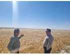 بازدید تخصصی مدیران مرکز از گرمسار و آرادان با محور ارتقای بهره‌وری، توسعه زیرساخت‌ها و تقویت رویکردهای فناورانه