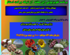 تشریح یافته‌های پژوهشی و توصیه‌های کاربردی در حوزه تغذیه دام و بهره‌وری تولید با هدف تقویت پیوند میان پژوهش و جامعه بهره‌برداران