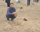 کشت 50 اصله کنار پیوندی در ستاد پژوهشکده خرما و میوه‌های گرمسیری با مشارکت مدیریت باغبانی سازمان جهادکشاورزی