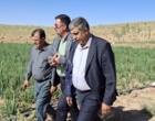 الگوسازی مرکز تحقیقات اصفهان در جهت توسعه کشاورزی دانش بنیان