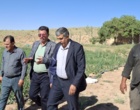 الگوسازی مرکز تحقیقات اصفهان در جهت توسعه کشاورزی دانش بنیان