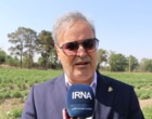 ۱۰ هزار هکتار اراضی کشاورزی کشور زیر پوشش آبیاری هوشمند قرار گرفت