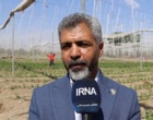 ۱۰ هزار هکتار اراضی کشاورزی کشور زیر پوشش آبیاری هوشمند قرار گرفت