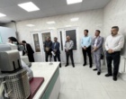 از شناسایی تا کنترل؛ جدیدترین راهکارهای مدیریت سن گندم بررسی شد