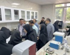 از شناسایی تا کنترل؛ جدیدترین راهکارهای مدیریت سن گندم بررسی شد