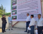 دستاورد مشترک تات و بخش خصوصی برای تقویت امنیت غذایی کشور رونمایی شد/ تولید نسل جدید گوسفندان چندقلوزا و عضله‌زا با فناوری اصلاح نژاد مولکولی