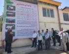 دستاورد مشترک تات و بخش خصوصی برای تقویت امنیت غذایی کشور رونمایی شد/ تولید نسل جدید گوسفندان چندقلوزا و عضله‌زا با فناوری اصلاح نژاد مولکولی