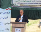 رونمایی از نخستین مزرعه الگویی کشت پنبه در خراسان شمالی